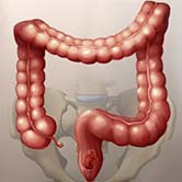  <span class="lte-header lte-h5"> <a href="https://hidrokolon.rs/creva-problemi-i-tegobe-2/">Problemi sa crevima</a> </span> 